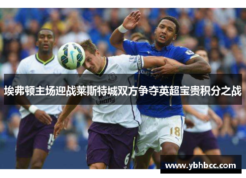 埃弗顿主场迎战莱斯特城双方争夺英超宝贵积分之战